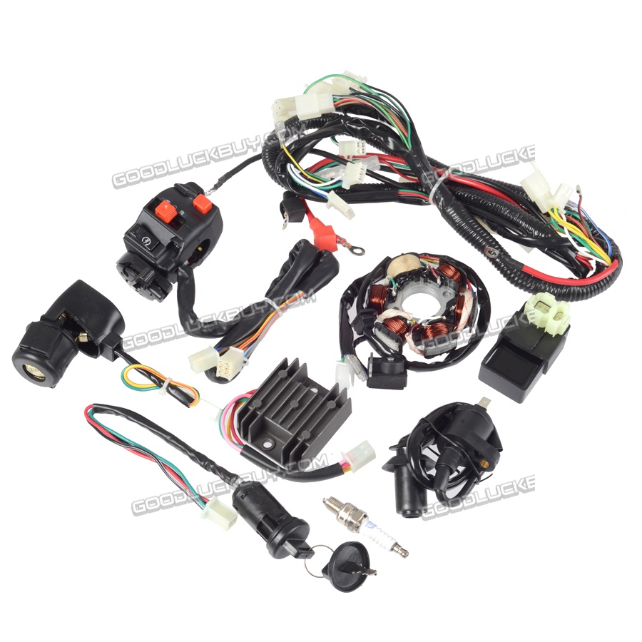 Electrics Wire Magneto Stator Wiring Harness GY6 125cc 150cc ATV Quad GO  Kart